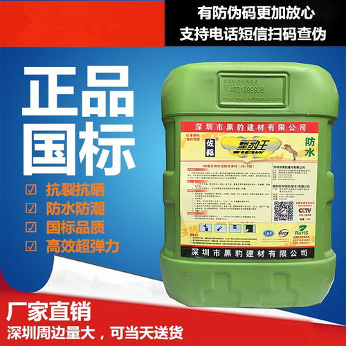 瑞智黑豹JS防水涂料 廚房、衛生間、水池及泳池防潮防漏的環保解決方案