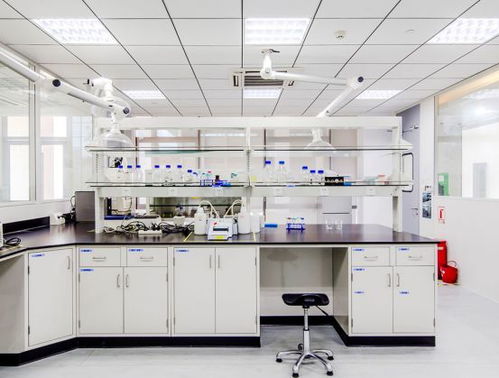 引領綠色未來 以開拓創新與專業服務，鑄就質量至上的環保咨詢新標桿